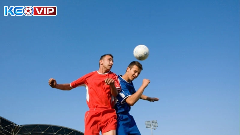 Lưu ý quan trọng khi theo dõi biến động kèo